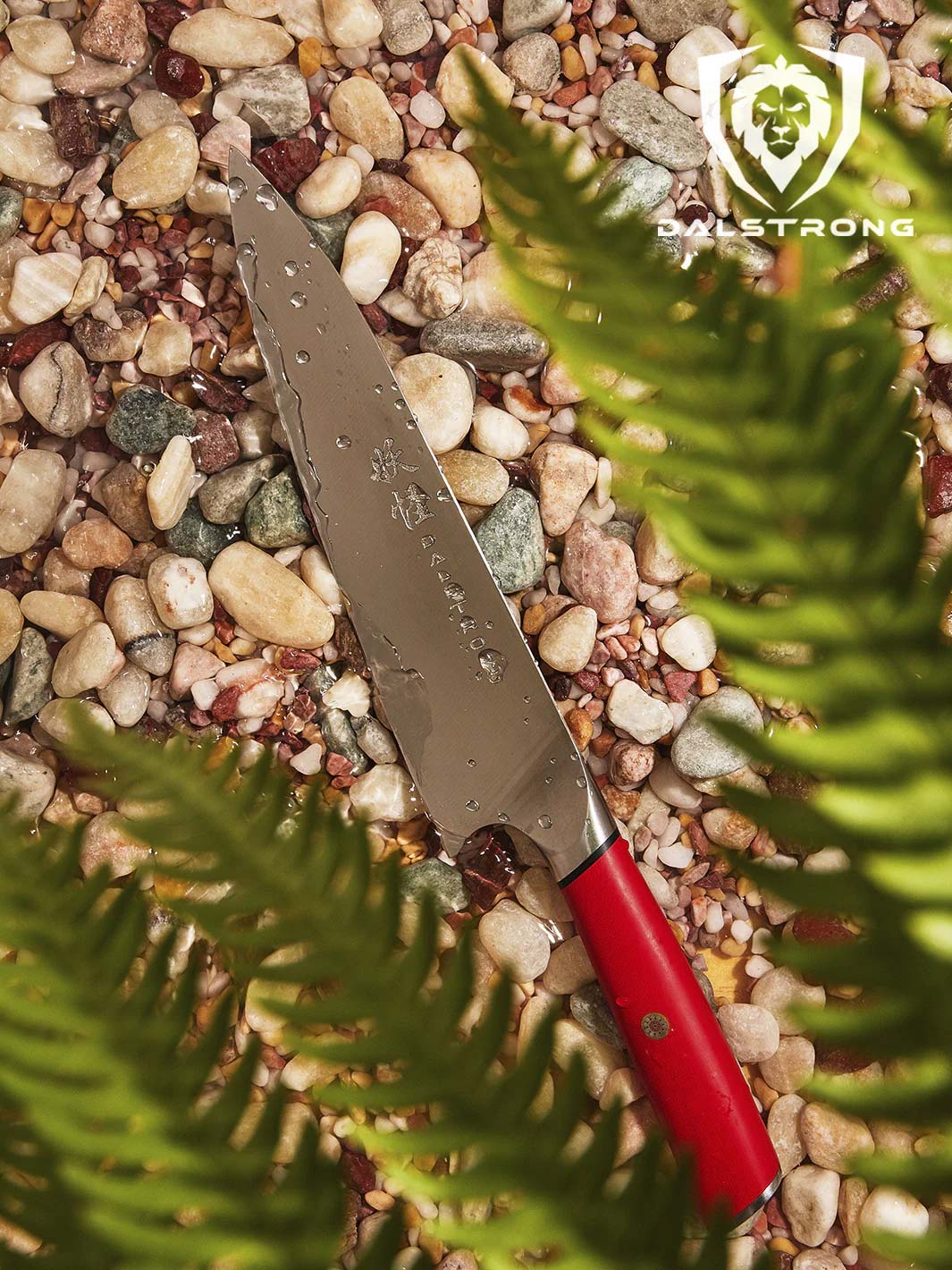 Chef's Knife 8" | Phantom Series | Dalstrong © - Image 30